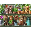 image:imageRavensburger 500Piece Puzzle  Katzen im Regal for Adults amp Kids Aged 10New Design