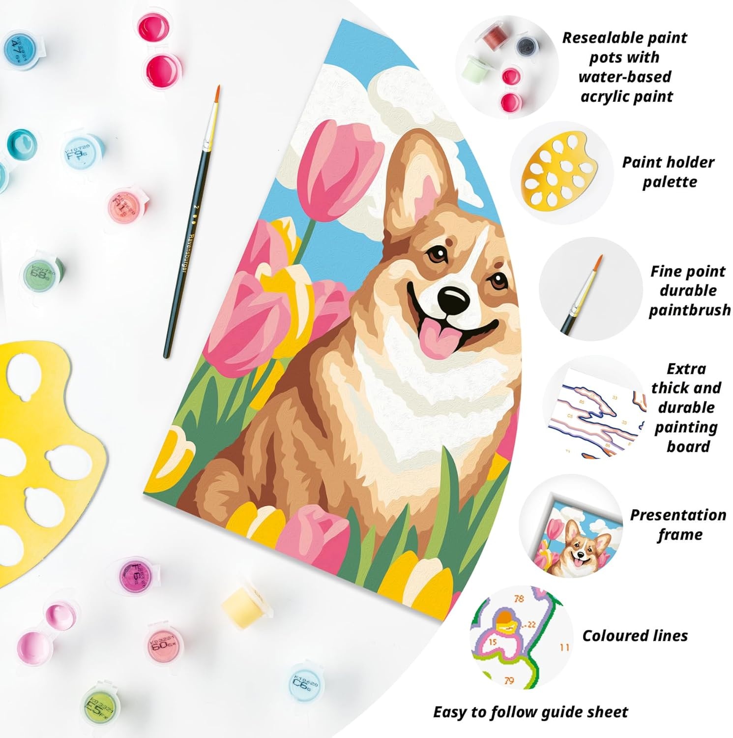image:imageRavensburger CreArt Floral Corgi PaintbyNumber Kit  Complete Set with Brushes amp 13 WaterBased Paints  ColorCoded Outlines  Ages 9