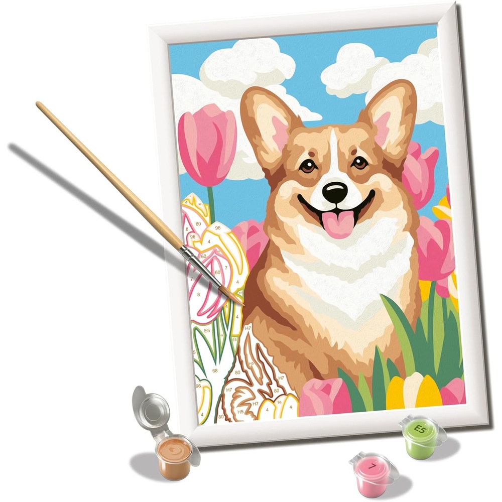 image:imageRavensburger CreArt Floral Corgi PaintbyNumber Kit  Complete Set with Brushes amp 13 WaterBased Paints  ColorCoded Outlines  Ages 9